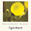 Aperture Sauvignon Blanc 2023